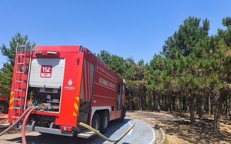 Kent Ormanı Yangını Kısmen Kontrol Altında