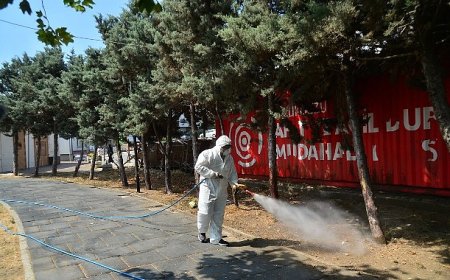 Kene ve Haşerelerle Mücadele İçin İlaçlama Çalışmaları Başladı