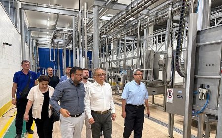 Karamürsel’de otogar, mezbaha, futbol sahası, salon ve sokak yapımına yerinde inceleme