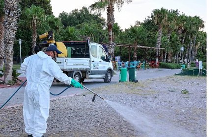 Büyükşehir vektörel mücadele çalışmalarını mesire alanlarında da sürdürüyor