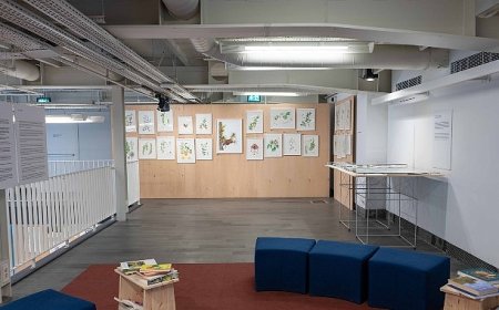 Salt Beyoğlu’nda devam eden “Hayvanların Yaşamı” ve “Anadolu’nun Bitki Mirası” sergileri paralelinde çocuklara yönelik olarak hazırlanan yaratıcı drama atölyeleri 5 Temmuz’da başlıyor.