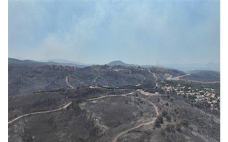 Seferihisar ve Menderes yangınlarının bilançosu ağır
