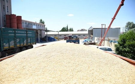 “Çiftçimizin Emeği Kutsaldır”