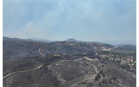 Son üç günde çıkan yangınlar yaklaşık 10 bin hektarlık alanı küle çevirdi
