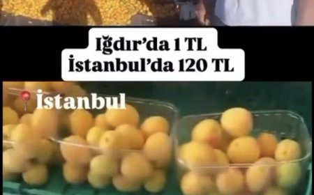 1 TL’lik kayısı paylaşımı 1,4 milyon TL cezaya patladı! Yanıltıcı paylaşıma milyon liralık ceza!