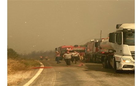 İzmir itfaiyesi tüm gücüyle sahada