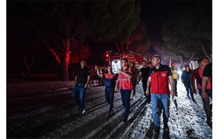 Ekipler Doğanbey’de yerleşim yerlerindeki yangını kontrol altına aldı