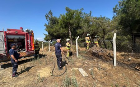 Manisa Büyükşehir Akhisar’daki yangın bölgesinde