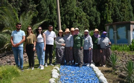 Manisa’da kurakçıl peyzajla su tasarrufu