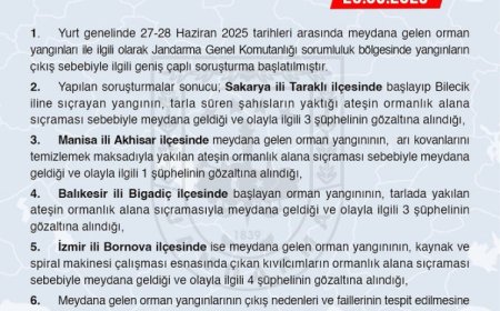 Jandarma’dan orman yangınlarına ilişkin soruşturma: 11 gözaltı!