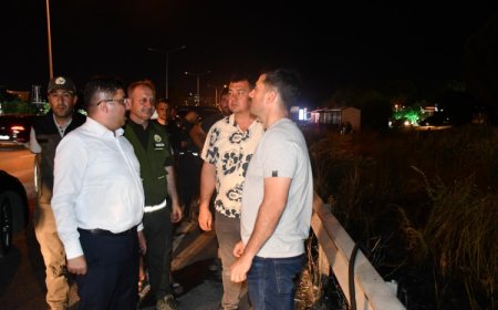 Mudanya Yolu’ndaki yangın kontrol altına alındı! 4 dönüm alan zarar gördü!