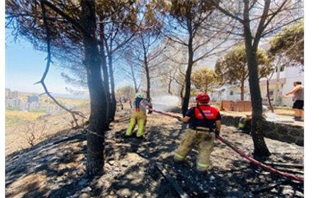 İzmir İtfaiyesi 48 saatte 227 yangına müdahale etti