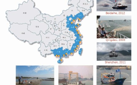 İzmir Körfezi’nde alg patlamalarına karşı çevreci çözüm: Modifiye kil