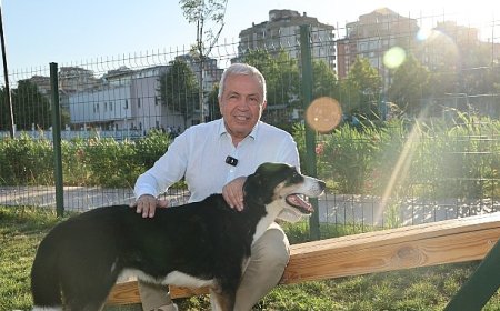 Nilüfer’de can dostlar yeni yuvalarına kavuştu