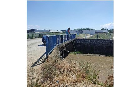 İzmit Körfezi’nde su kalitesi yakın takipte