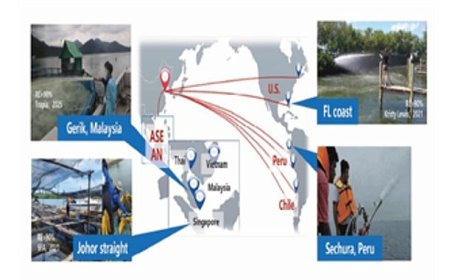 Çinli bilim insanı Dr. Yuan’dan İzmir Körfezi için önemli mesajlar:  “Körfez modifiye kil yöntemiyle nefes alacak”