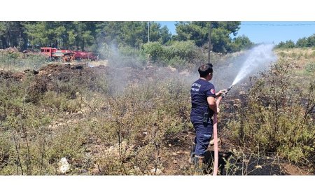 Antalya Büyükşehir İtfaiyesi’nden orman yangınlarına müdahale