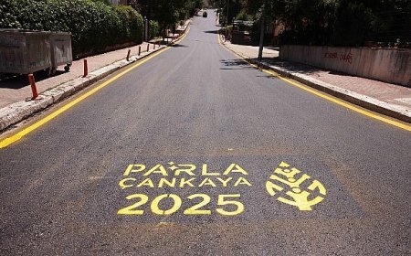 Çankaya’da “Asfalt Sezonu” Hız Kesmeden Devam Ediyor