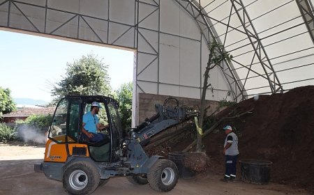 Sökülen ağaçlar geleceğe taşınıyor