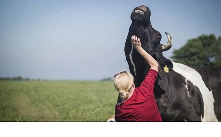 Salt Beyoğlu’ndaki “Hayvanların Yaşamı” sergisi kapsamında hazırlanan gösterim programı 3 Temmuz’da Açık Sinema’da başlıyor.