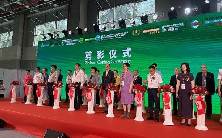 Türk zeytin ve zeytinyağı sektörü Çin pazarında vitrine çıktı