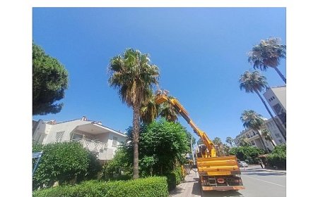 Kemer’de yeşil alanlarda bakım çalışmaları