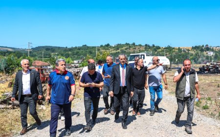 Sakarya Söğütlü’deki orman yangını kontrol altına alındı