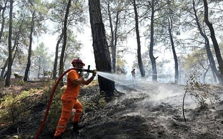 Hasat Mevsiminde Orman Yangını Alarmı