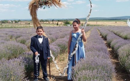 Edirne Keşan’ın Lavanta Deryası’nda hasat heyecanı