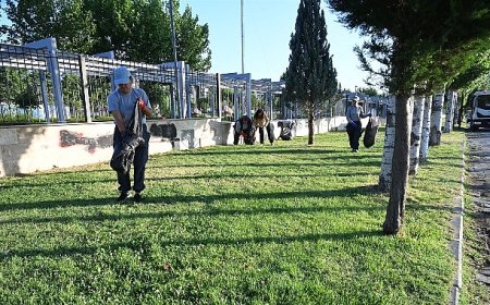 Salihli Belediyesi Temizlik İşleri ile Park ve Bahçeler Müdürlüğü ekiplerimiz, Gümüşçayı ve Kurşunlu piknik alanlarını titizlikle temizleyerek pırıl pırıl hale getirdi.