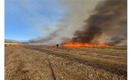 İzmir İtfaiyesi son 48 saatte 220 yangına müdahale etti