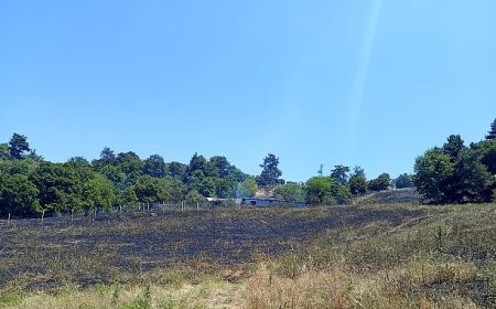 Dağyenice’de yangın söndürüldü