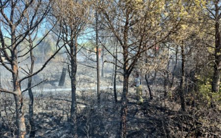 İzmir İtfaiyesi’nde tüm yangınlar kontrol altına alındı