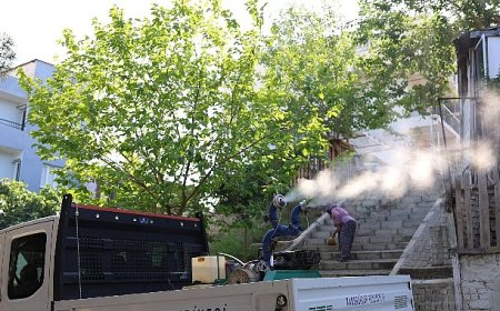 Karabağlar’da Haşerelere Karşı İlaçlama Seferberliği