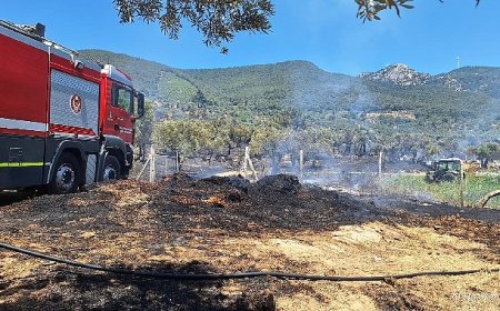 İzmir İtfaiyesi Torbalı, Kınık ve Menderes’teki yangınlara müdahale etti