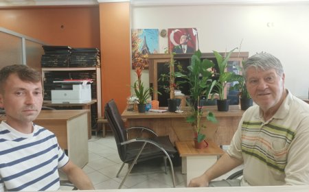 Mecidiye yangınında zarar tartışması! Ziraat Mühendisi Yılmaz: Gerçek zarar çok daha büyük