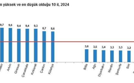 2024’te ölüm sayısı düştü… Kaba ölüm hızı binde 5,7’ye geriledi