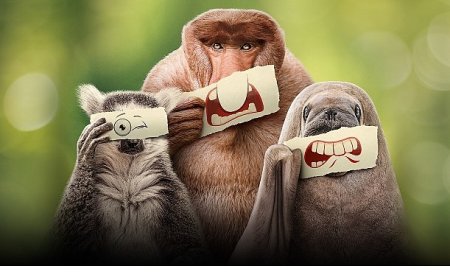 Ryan Reynolds’ın Anlatımıyla ‘Ötekiler’, 21 Haziran Cumartesi 20.00’de National Geographic WILD Ekranlarında İzleyicilerle Buluşuyor!