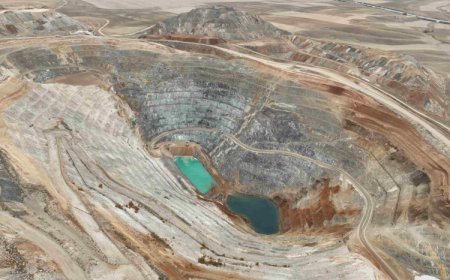 Yeni torba yasa doğayı tehdit ediyor…. TEMA Vakfı’ndan sert uyarı!