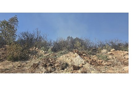 Nilüfer’de yangın başarıyla söndürüldü