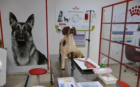 Uludağ Üniversitesi Klinik Beceri Laboratuvarı Açıldı