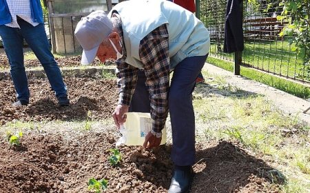 İstanbullu Halk Bostanlarını Çok Sevdi