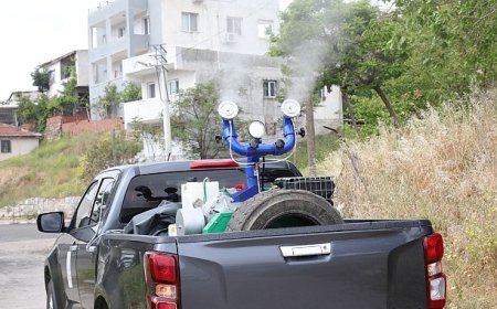 Bayraklı’da haşereyle mücadele sürüyor