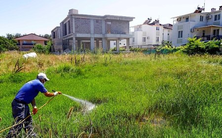 Vektörel mücadele hem karadan hem denizden yürütülüyor