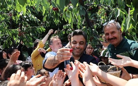 Bağcılar’da Kiraz Festivali Coşkusu