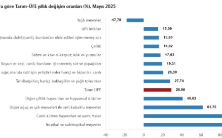Tarım-ÜFE verileri açıklandı… Tropikal meyveler yine rekor kırdı