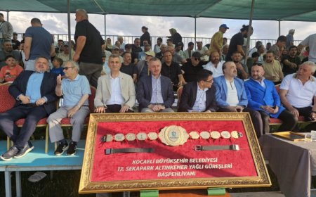 Gölcüklü pehlivan başaltında şampiyon oldu