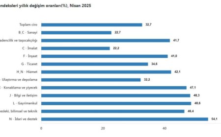 Ciro endeksleri yükselişte