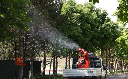 Çankaya Belediyesi’nden Yaz Aylarına Özel İlaçlama