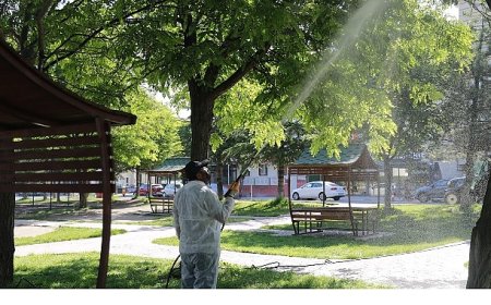 Nevşehir Belediyesi 7/24 İlaçlama Çalışması Yapıyor